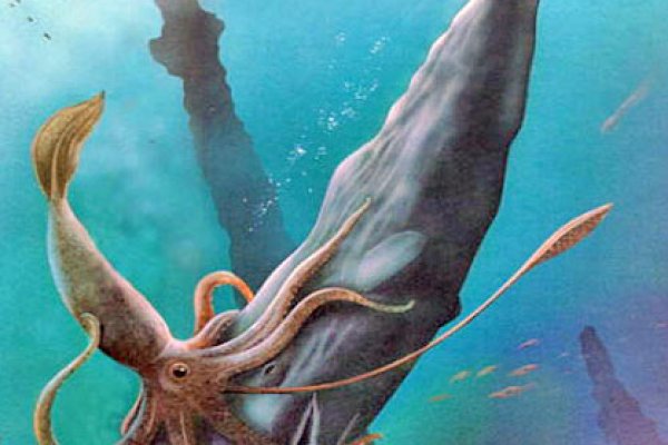 Craken12 at