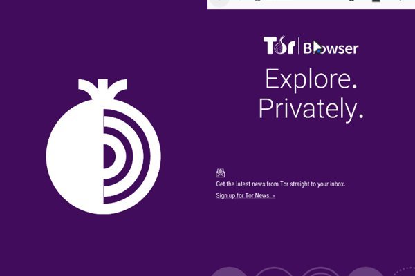 Кракен зеркало рабочее onion
