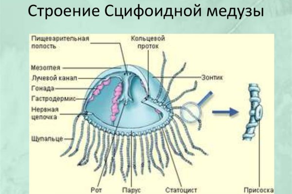 Как найти настоящую кракен даркнет ссылку