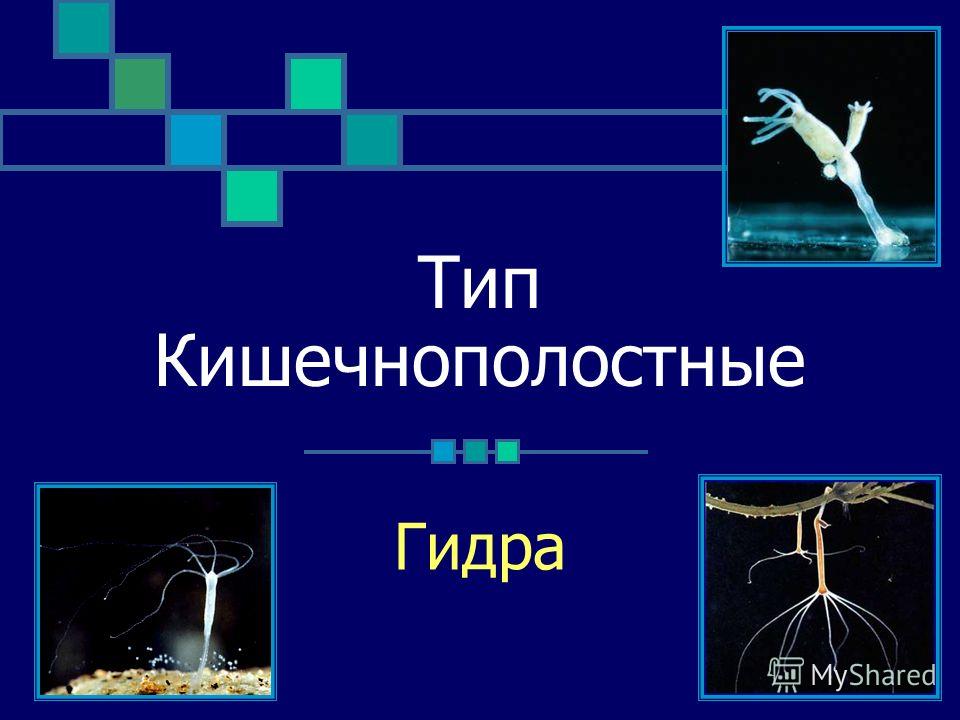 Вход в кракен